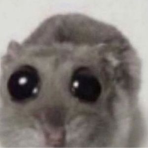 Meet your Posher, Savana